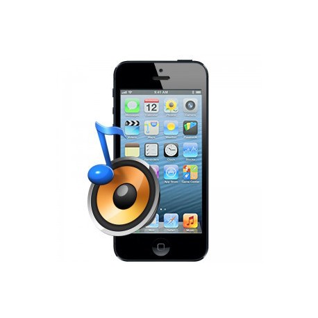 Riparazione Altoparlante Vivavoce iPhone 5C