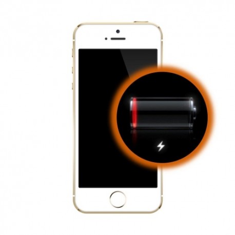 Sostituzione Batteria iPhone 5S