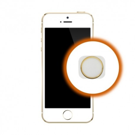 Riparazione Tasto Home iPhone 5S