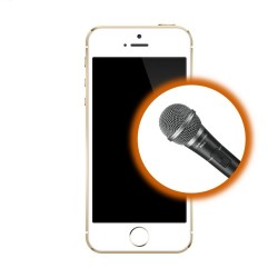 Riparazione Microfono iPhone 5S