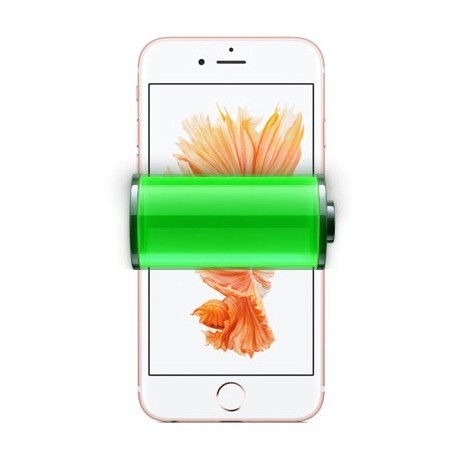 Sostituzione batteria iPhone 6 Plus