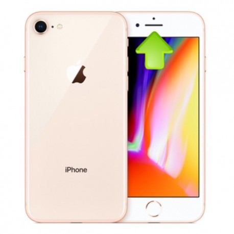 Riparazione Altoparlante Superiore Auricolare iPhone 8