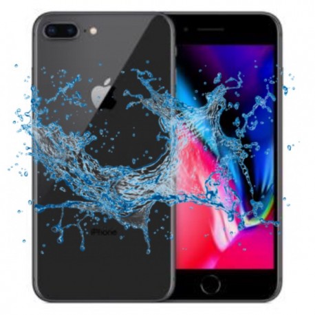 Riparazione da Liquidi iPhone 8 Plus