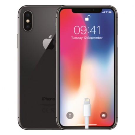 Riparazione Connettore Carica iPhone X