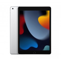 Sostituzione Vetro Touch iPad 8 Gen.