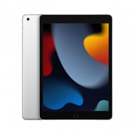 Sostituzione Vetro Touch iPad 8 Gen.