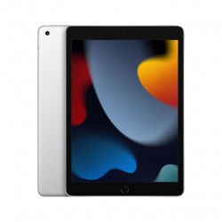 Sostituzione Vetro Touch iPad 9 Gen.